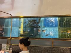 -顺峰顺水顺德菜(龙华店)