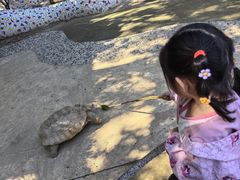 -石家庄市动物园