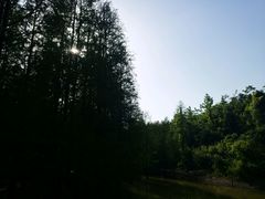 -青龙山国家森林公园