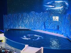 -珠海长隆海洋王国