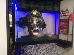 -绿茶餐厅(成都大悦城店)