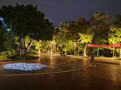 -金海湾滨江公园