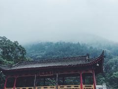 -刘老虎肉丸糊辣汤(总店)