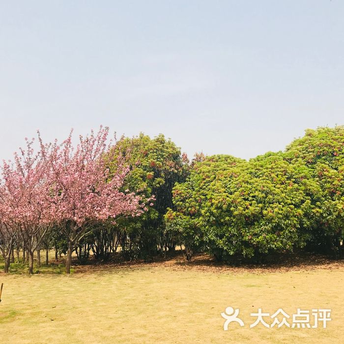 洛浦秋风园图片-北京公园-大众点评网