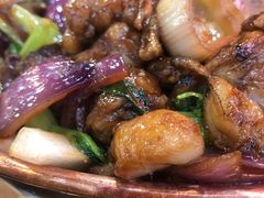 -蛙麻蛙辣炭火蛙锅(南环大街店)