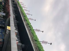 -绵阳南郊机场