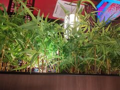 -山城辣妹子(定福庄店)