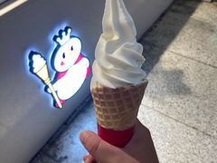 -蜜雪冰城(新街口中央店)