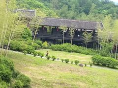 -大唐贡茶院