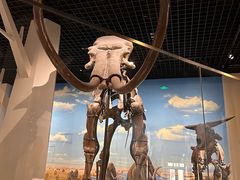 -国家自然博物馆