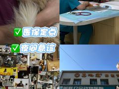-美联众合爱康动物医院•复杂内科•肿瘤科•牙科•腔镜诊疗中心