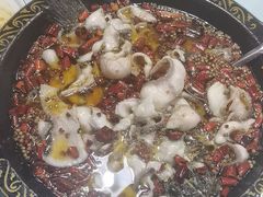 -金三可市井水煮鱼(金碧园店)