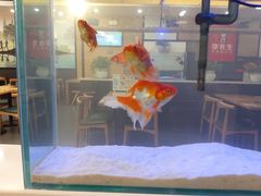 -李先生牛肉面大王(成都东站西广场店)