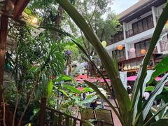 -婉泰·特色小吃·舂鸡脚(告庄二店)