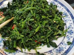 -都江堰石锅鱼