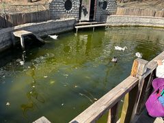 -南宫五洲植物乐园