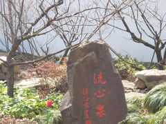 -无锡梅园公园