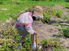 -前小桔亲子创意农场·草莓采摘·露营烧烤