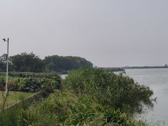 -丫丫蟹庄·苏式园林农家乐·阳澄湖大闸蟹(阳澄湖莲花岛店)