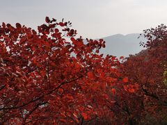 -周口店坡峰岭风景区