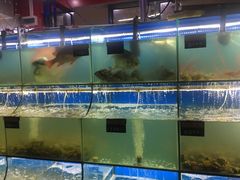 -越乡小厨(侨港店)