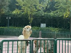-无锡动物园·太湖欢乐园