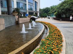 -宁波香格里拉大酒店