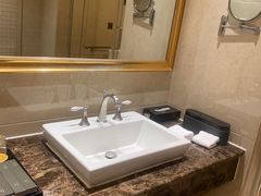 -圣爵菲斯大酒店(长沙世界之窗店)