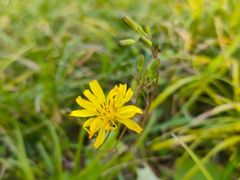 -重庆中央公园(渝北区)