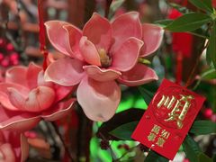 -藏湘馆(棠石路店)