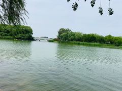 -大兴滨河森林公园
