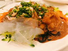 肉丝大拉皮-鑫巴蜀小镇 · 水煮鱼专研店(玉桥店)