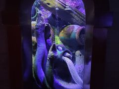 -太平洋海底世界