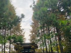 -武汉园博园(武汉自然博物馆)