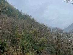 -楠溪江风景名胜区