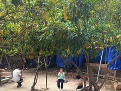 -香竹农庄•传统竹筒饭(十年店)