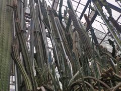 -南山植物园
