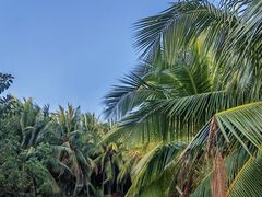 -白沙门生态公园