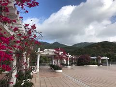 -三亚亚龙湾金棕榈度假酒店