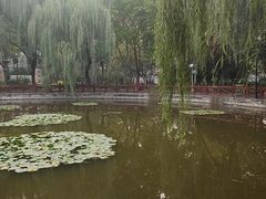 -石刻园