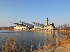 -盐城丹顶鹤湿地生态旅游区
