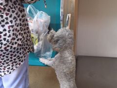 -康乐宝动物医院