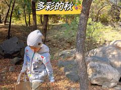 -北京鹫峰国家森林公园