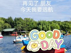 -上海共青森林公园