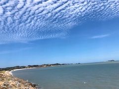 -长江澳风力发电景观区