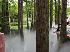 -东湖落雁景区