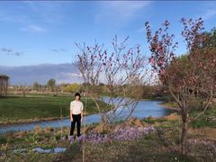 -安德鲁户外烧烤帐篷营地(马泉营店)