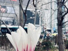 -人民广场