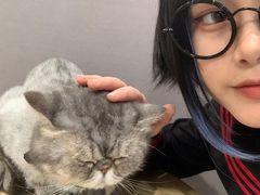 -楼上猫咖(罗湖店)