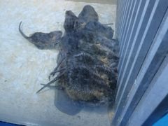 -多彩贵州城极地海洋世界